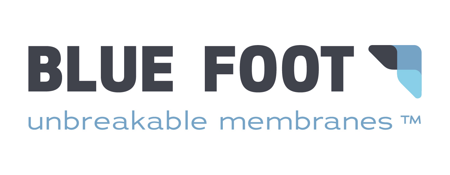 logo Blue Foot